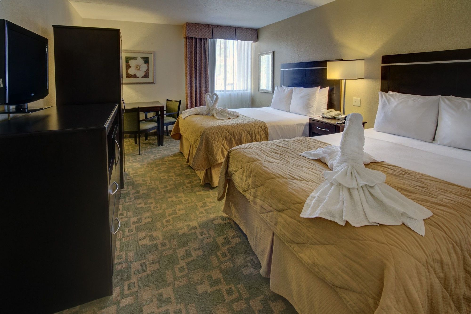 Clarion Inn & Suites At International Drive Orlando Chambre photo